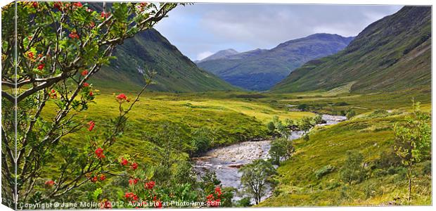 Glen Etive, Highlands of Scotland Canvas Print by Jane McIlroy