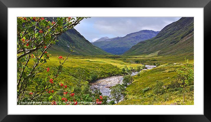 Glen Etive, Highlands of Scotland Framed Mounted Print by Jane McIlroy