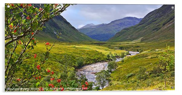 Glen Etive, Highlands of Scotland Acrylic by Jane McIlroy
