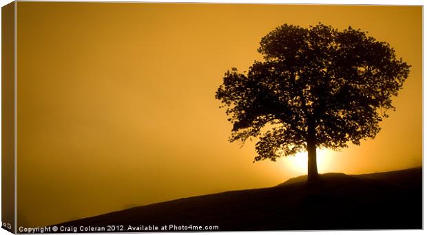 Early morning silhouettes Canvas Print by Craig Coleran