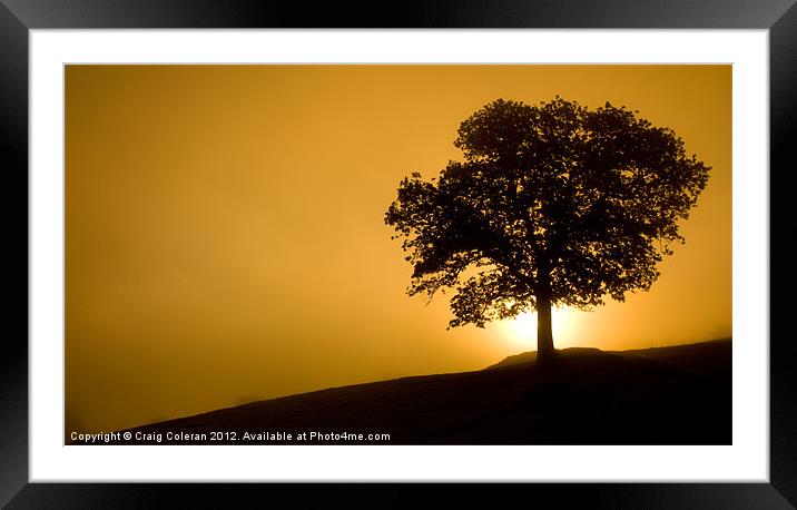 Early morning silhouettes Framed Mounted Print by Craig Coleran
