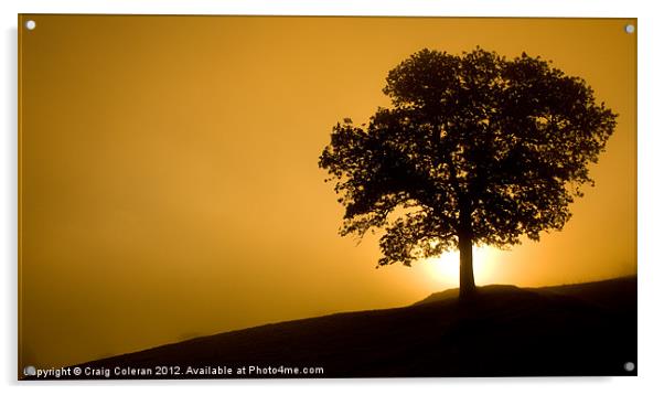 Early morning silhouettes Acrylic by Craig Coleran