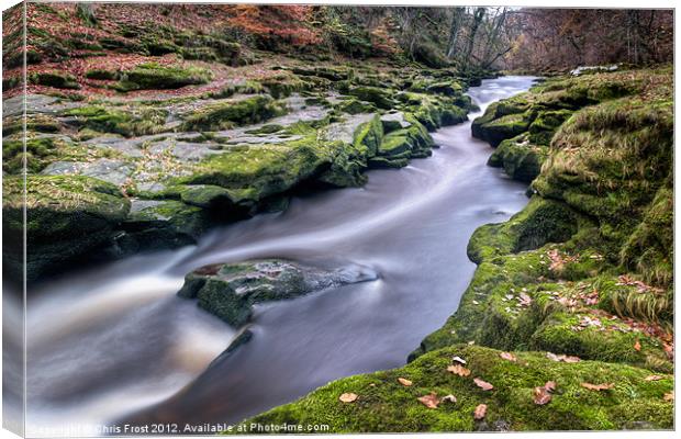 Autumnal Strid Canvas Print by Chris Frost