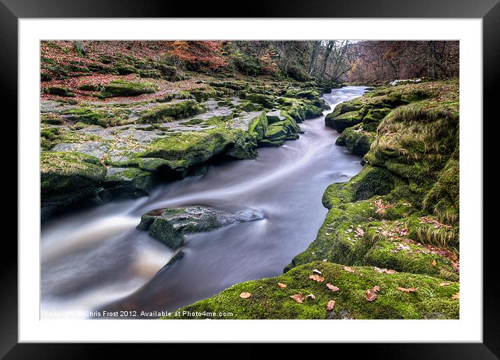 Autumnal Strid Framed Mounted Print by Chris Frost