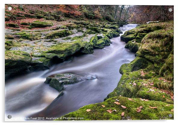 Autumnal Strid Acrylic by Chris Frost