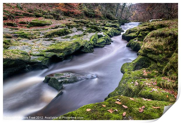 Autumnal Strid Print by Chris Frost
