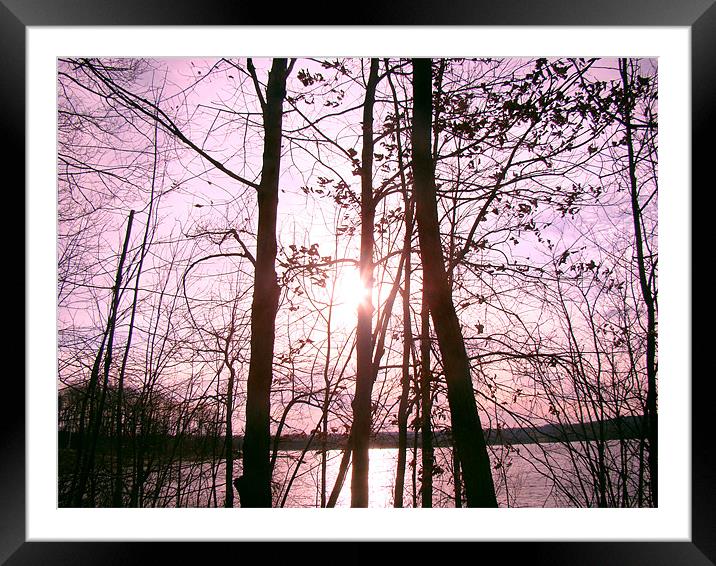 Pink SunRise over the lake Framed Mounted Print by Beth Mishata