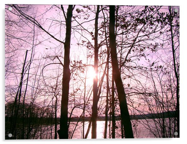 Pink SunRise over the lake Acrylic by Beth Mishata