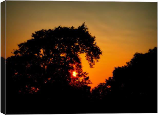summer sunset Canvas Print by dale rys (LP)