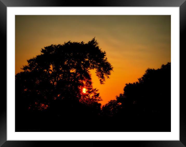 summer sunset Framed Mounted Print by dale rys (LP)