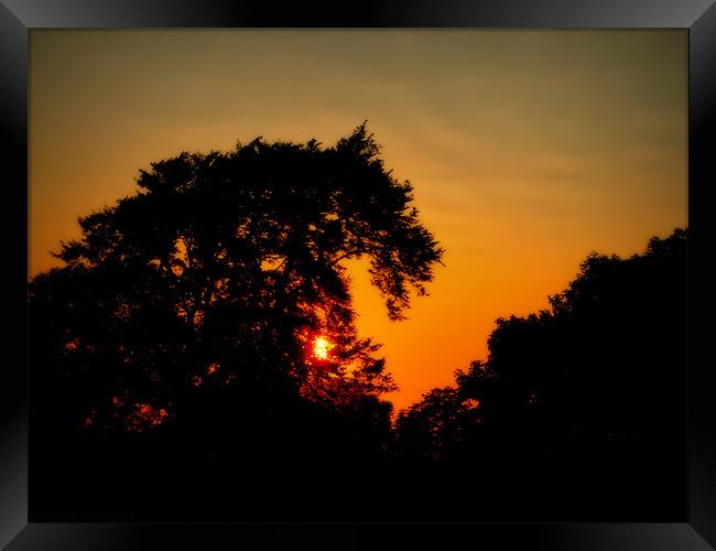 summer sunset Framed Print by dale rys (LP)