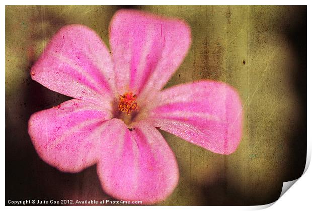 Pink Flower Print by Julie Coe