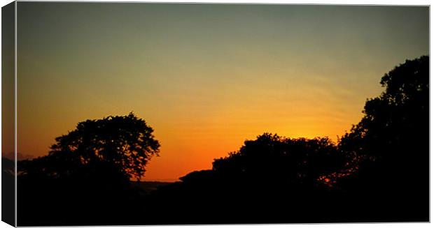 summer sunset 2 Canvas Print by dale rys (LP)