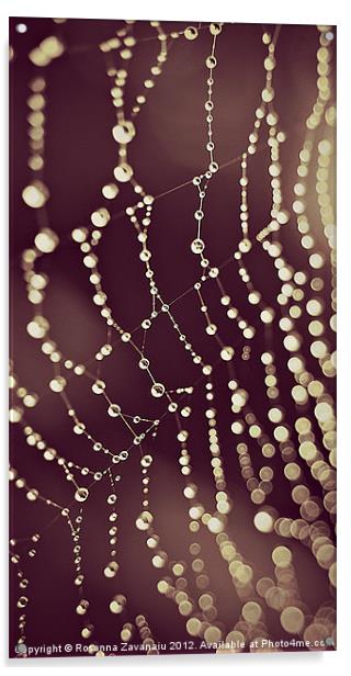 Natures Webs. Acrylic by Rosanna Zavanaiu