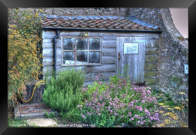 Gertrude Jekylls potting shed Framed Print by Colin Metcalf