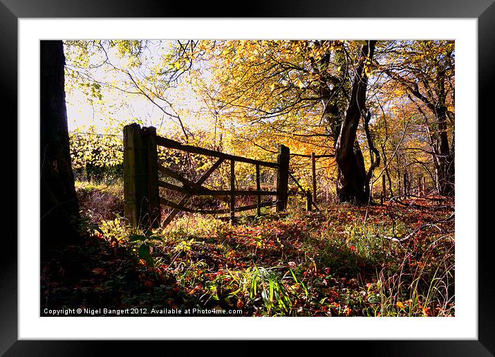 Autumn Gate Framed Mounted Print by Nigel Bangert