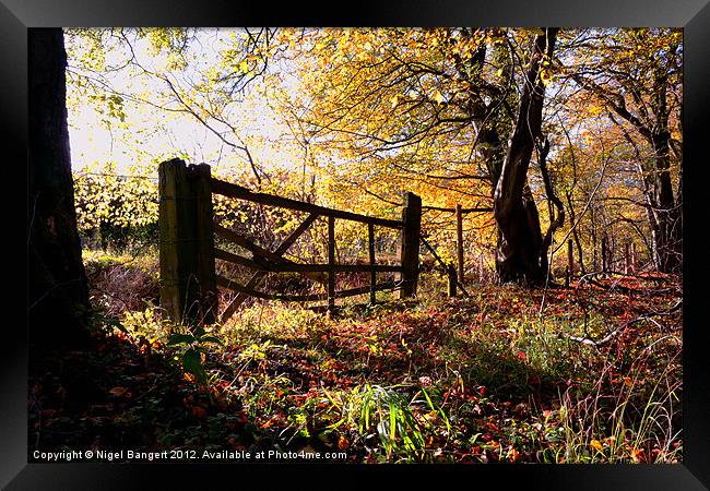 Autumn Gate Framed Print by Nigel Bangert