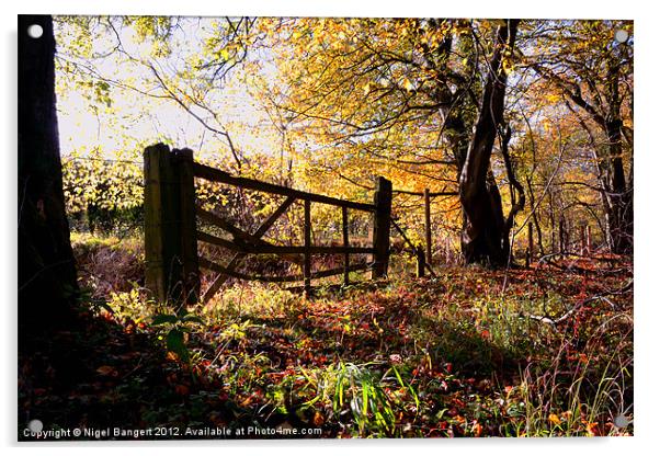 Autumn Gate Acrylic by Nigel Bangert