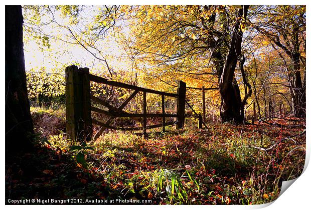 Autumn Gate Print by Nigel Bangert