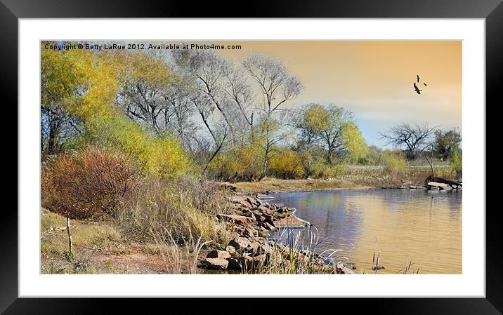 Golden Times Framed Mounted Print by Betty LaRue