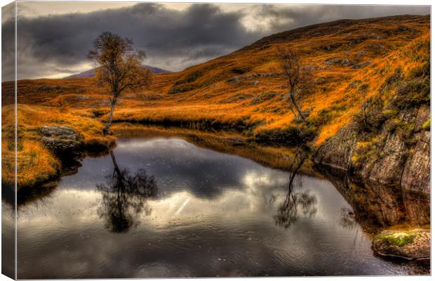 Scotttish Highland River in Autumn Canvas Print by Derek Beattie