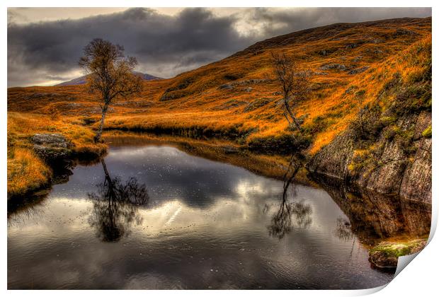 Scotttish Highland River in Autumn Print by Derek Beattie