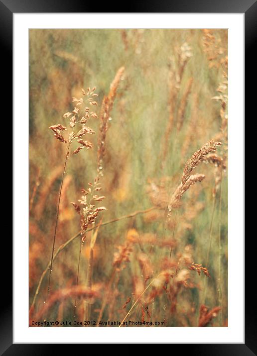 Meadow Grasses Framed Mounted Print by Julie Coe