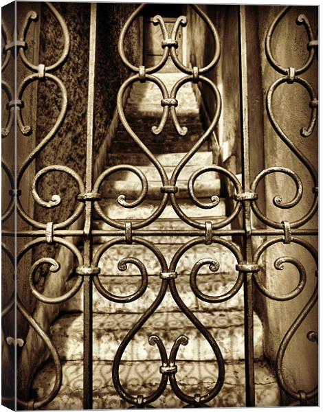 gate and stone steps Canvas Print by Heather Newton