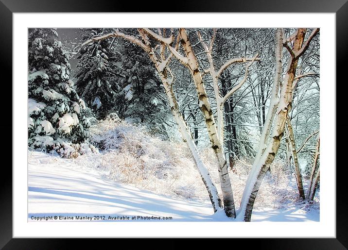 Snowy Trees Framed Mounted Print by Elaine Manley