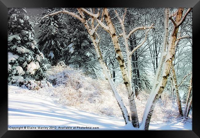 Snowy Trees Framed Print by Elaine Manley