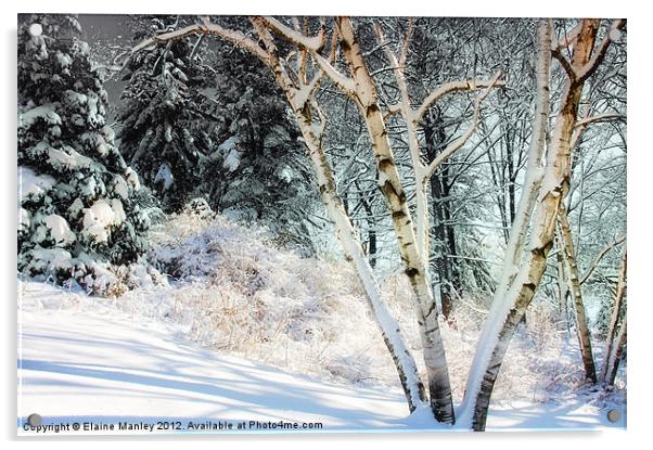 Snowy Trees Acrylic by Elaine Manley