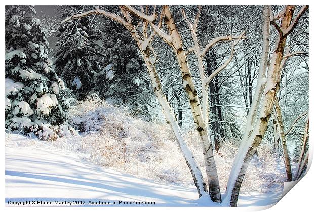 Snowy Trees Print by Elaine Manley