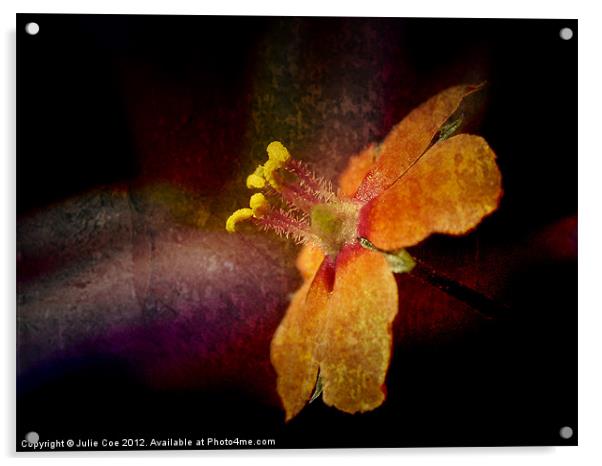Dark Orange Acrylic by Julie Coe