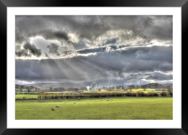 Across the fields Framed Mounted Print by Gavin Wilson
