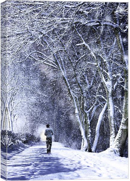 Walking In A Winter Wonderland Canvas Print by Paul Cook