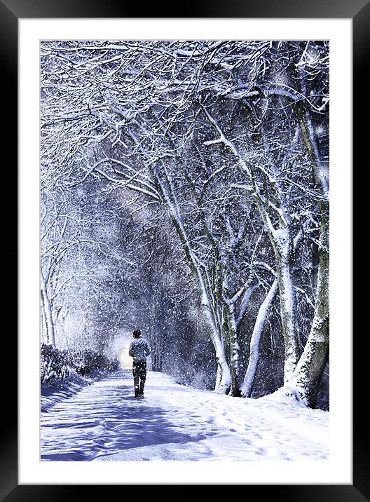 Walking In A Winter Wonderland Framed Mounted Print by Paul Cook