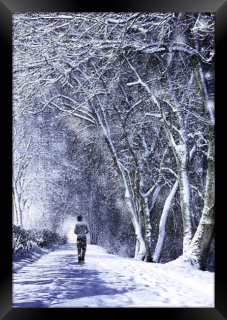 Walking In A Winter Wonderland Framed Print by Paul Cook
