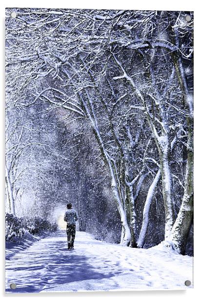 Walking In A Winter Wonderland Acrylic by Paul Cook