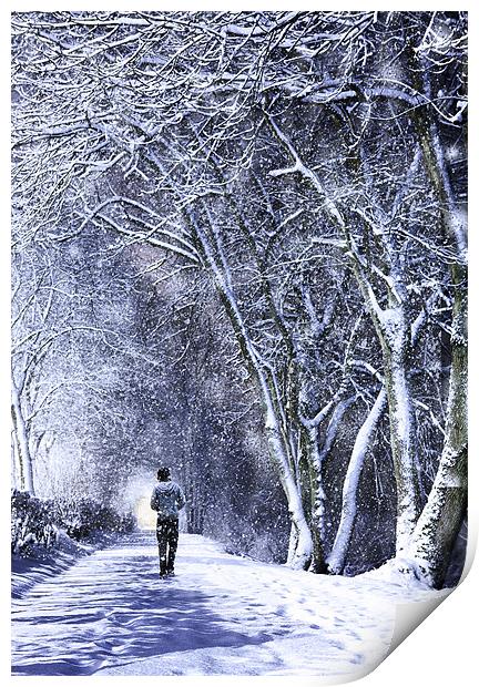 Walking In A Winter Wonderland Print by Paul Cook