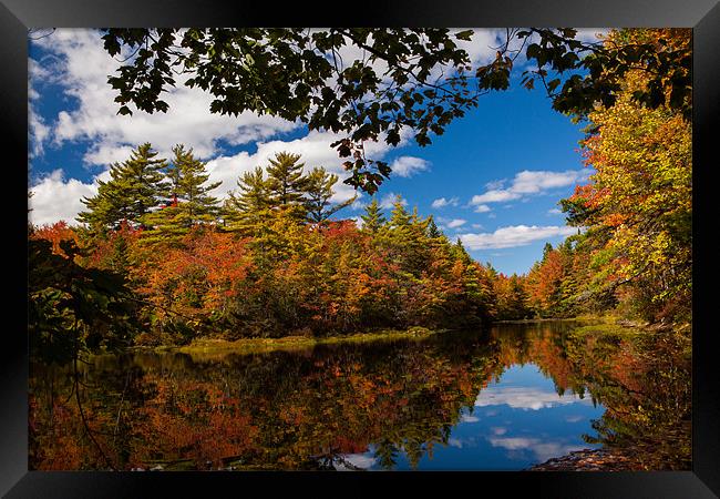 Autumn Lake Framed Print by Thomas Schaeffer