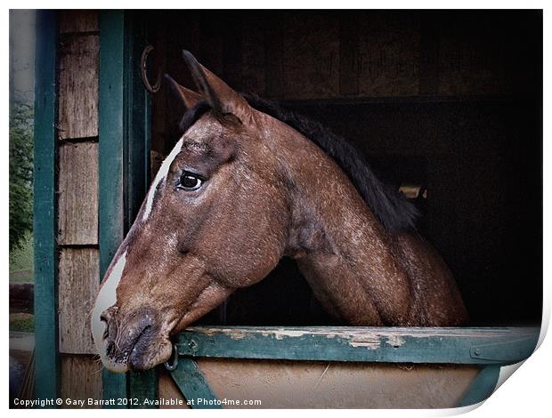 A Horse Of Course - Retro Print by Gary Barratt