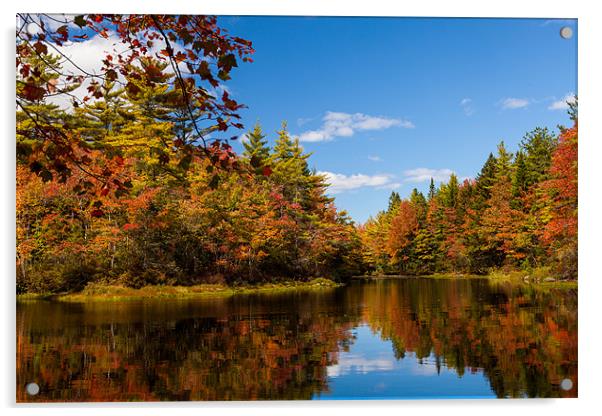 Autumn Lake Acrylic by Thomas Schaeffer