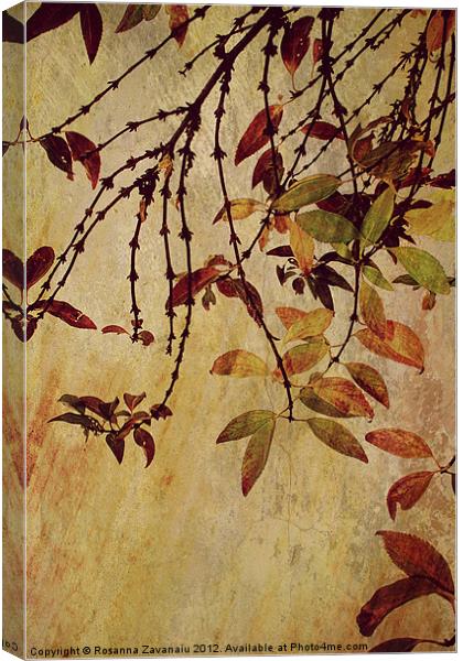 Autumn Colours. Canvas Print by Rosanna Zavanaiu