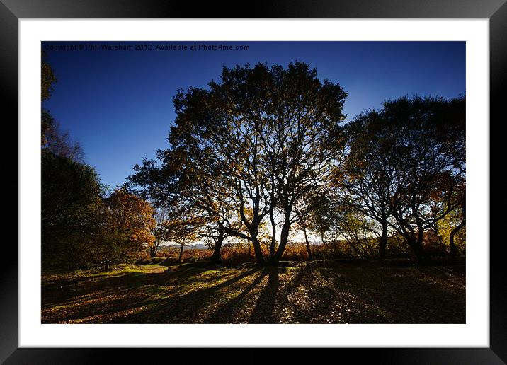 Shade and Silhouette Framed Mounted Print by Phil Wareham