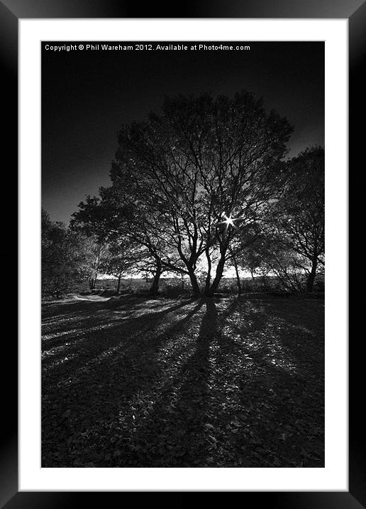 Through the tree Framed Mounted Print by Phil Wareham