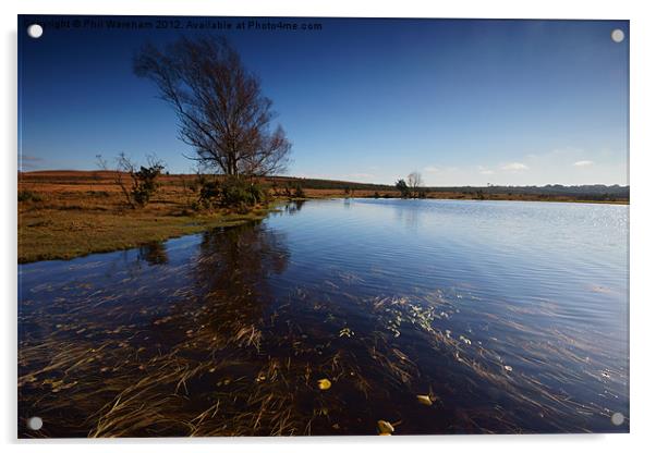 Whitten Pond Acrylic by Phil Wareham