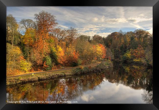 Autumn In Durham Framed Print by Ray Pritchard