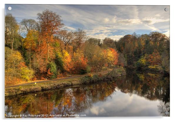 Autumn In Durham Acrylic by Ray Pritchard