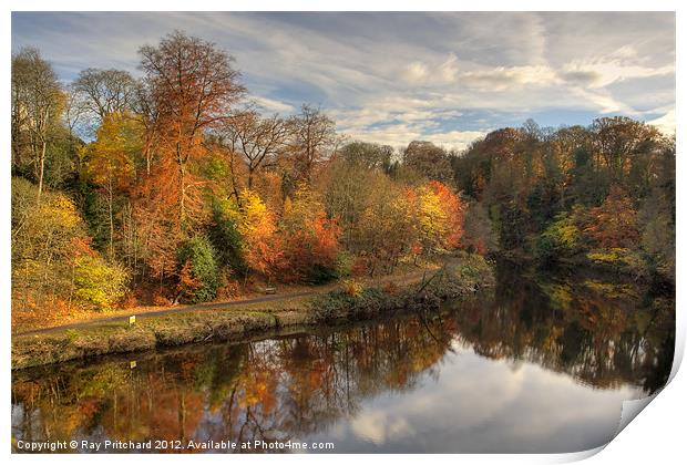 Autumn In Durham Print by Ray Pritchard