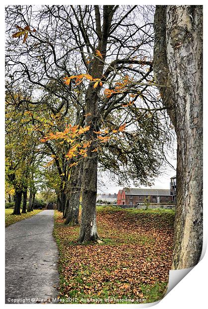 Autumn walk in the park Print by Alexia Miles